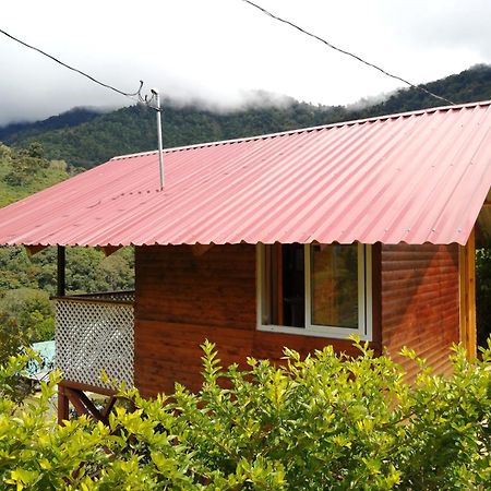 Mario'S Lodge Providencia Copey Экстерьер фото